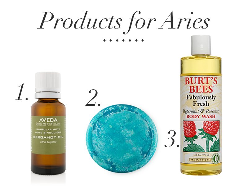 products for aries