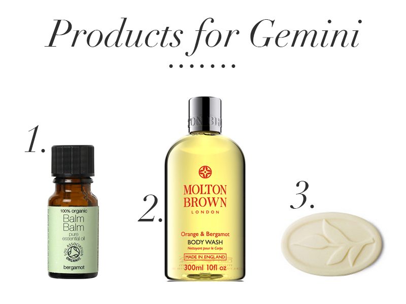 products for gemini